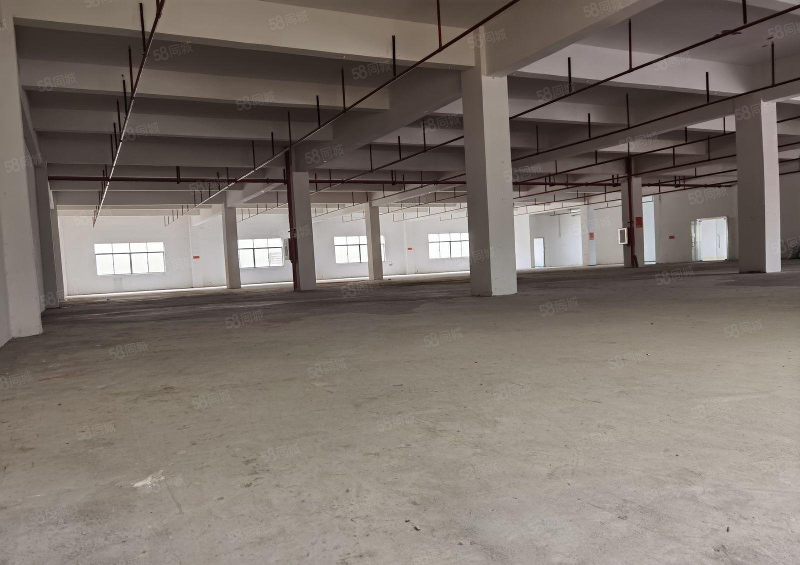 惠州惠阳新圩镇南坑成熟工业园区标准厂房火热招商