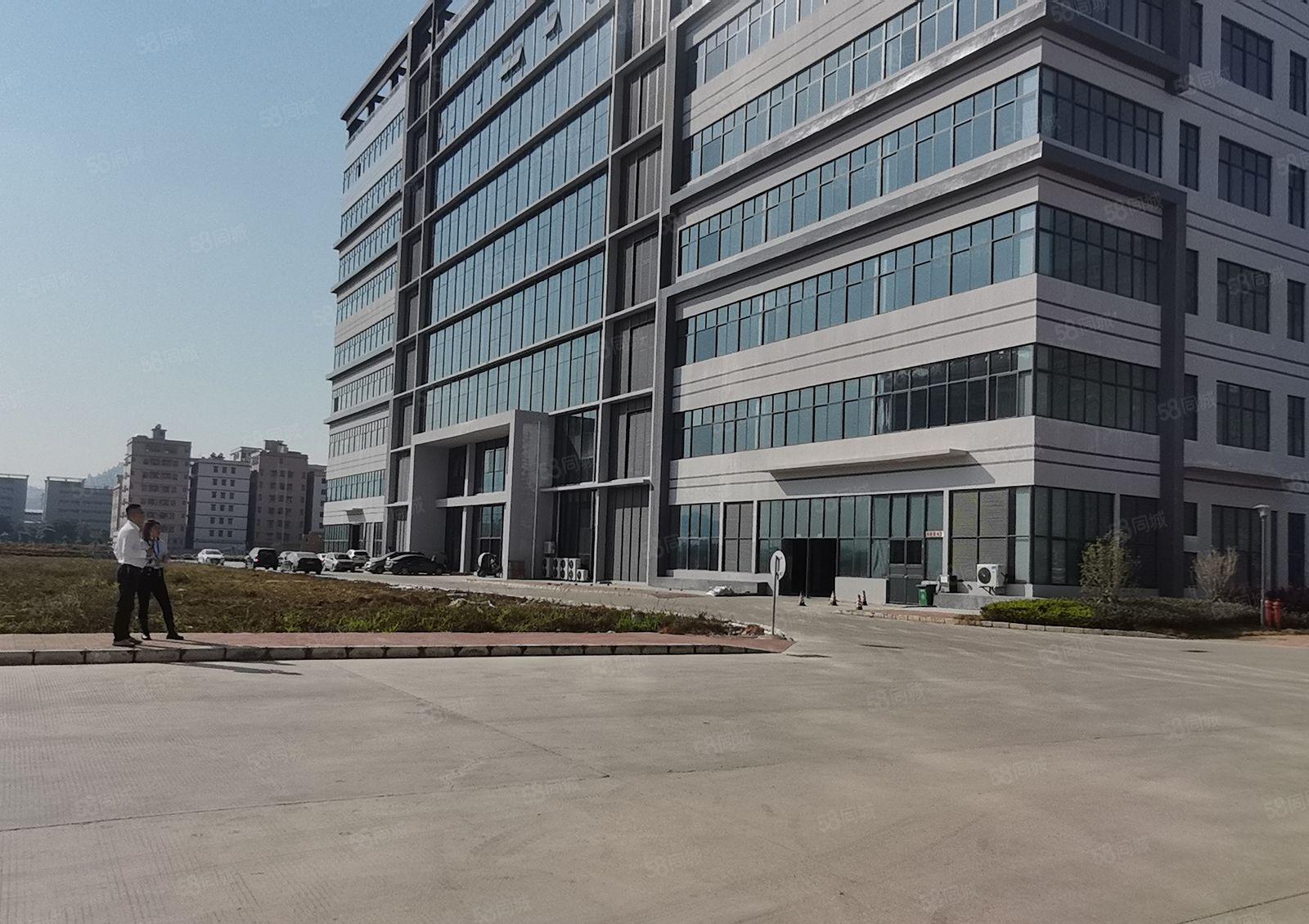 镇隆 原房东单一层滴水10米2万平钢构厂房出租1200平起分