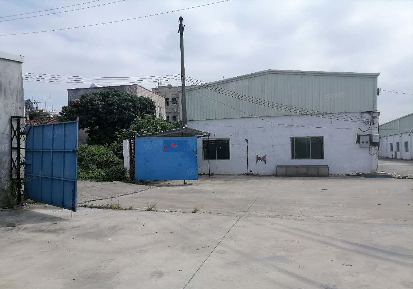 惠阳新圩2800独院钢构厂房仓库出租大空地原房东可办环评
