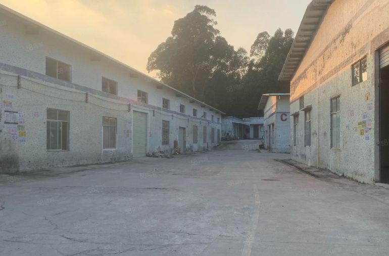 秋场500平原房东钢构12块一平红本厂房仓库出租