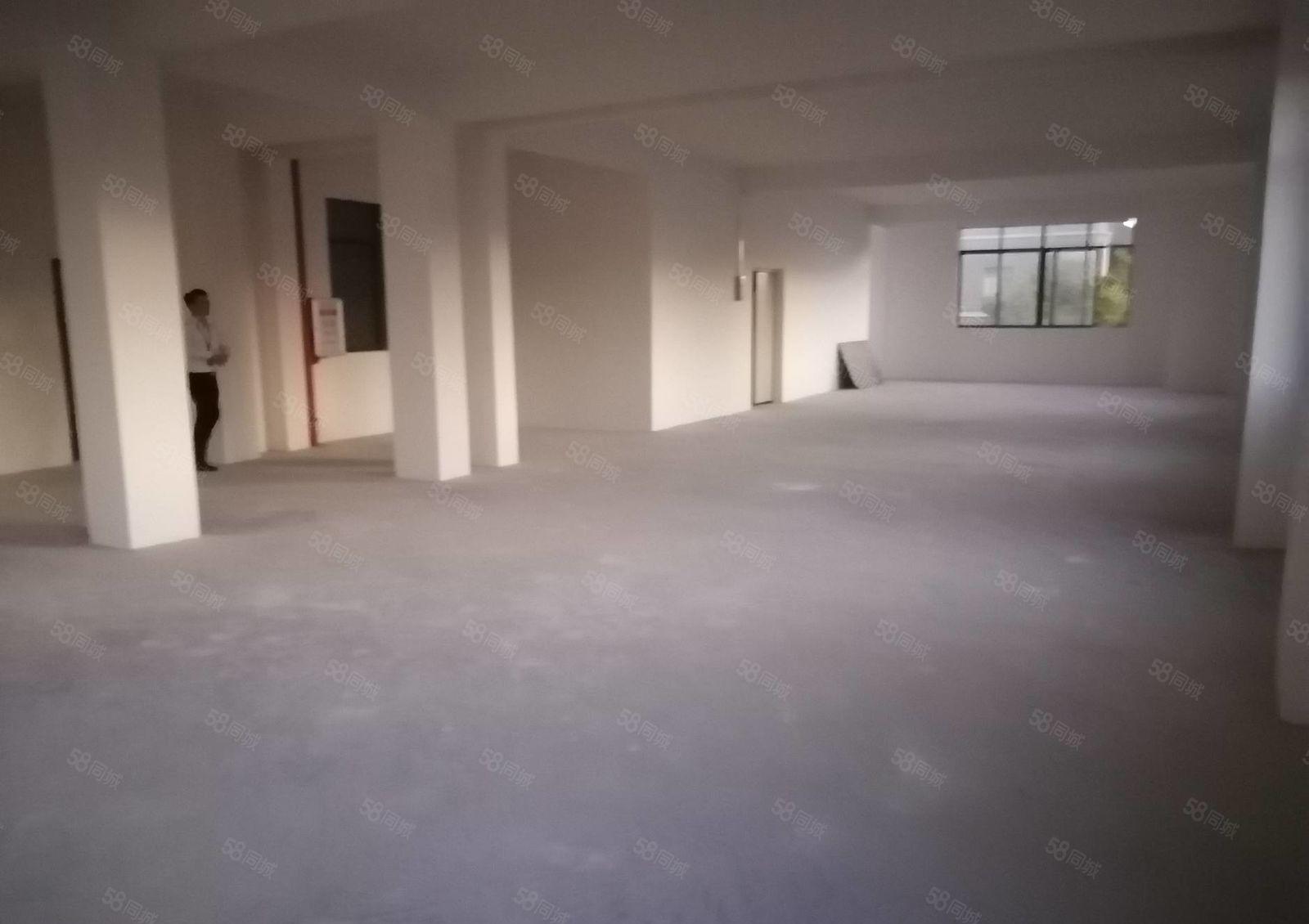 惠阳秋长全新标准小面积300平楼上出租