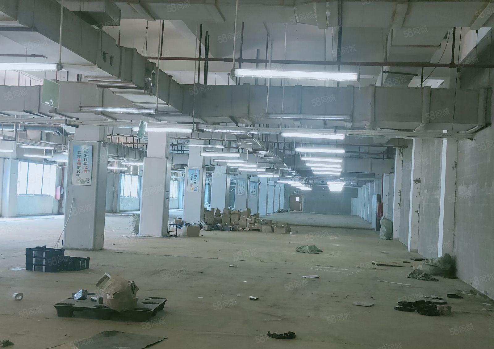 惠阳三和经济开发区3万平米厂房出租（可分租）