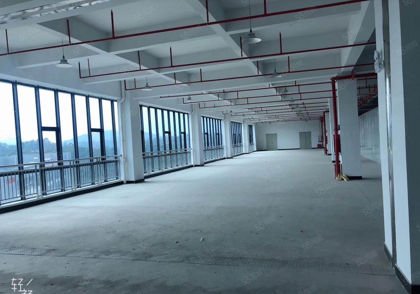 惠阳永湖工业区全新校准厂房出租3万平方 大小可分租