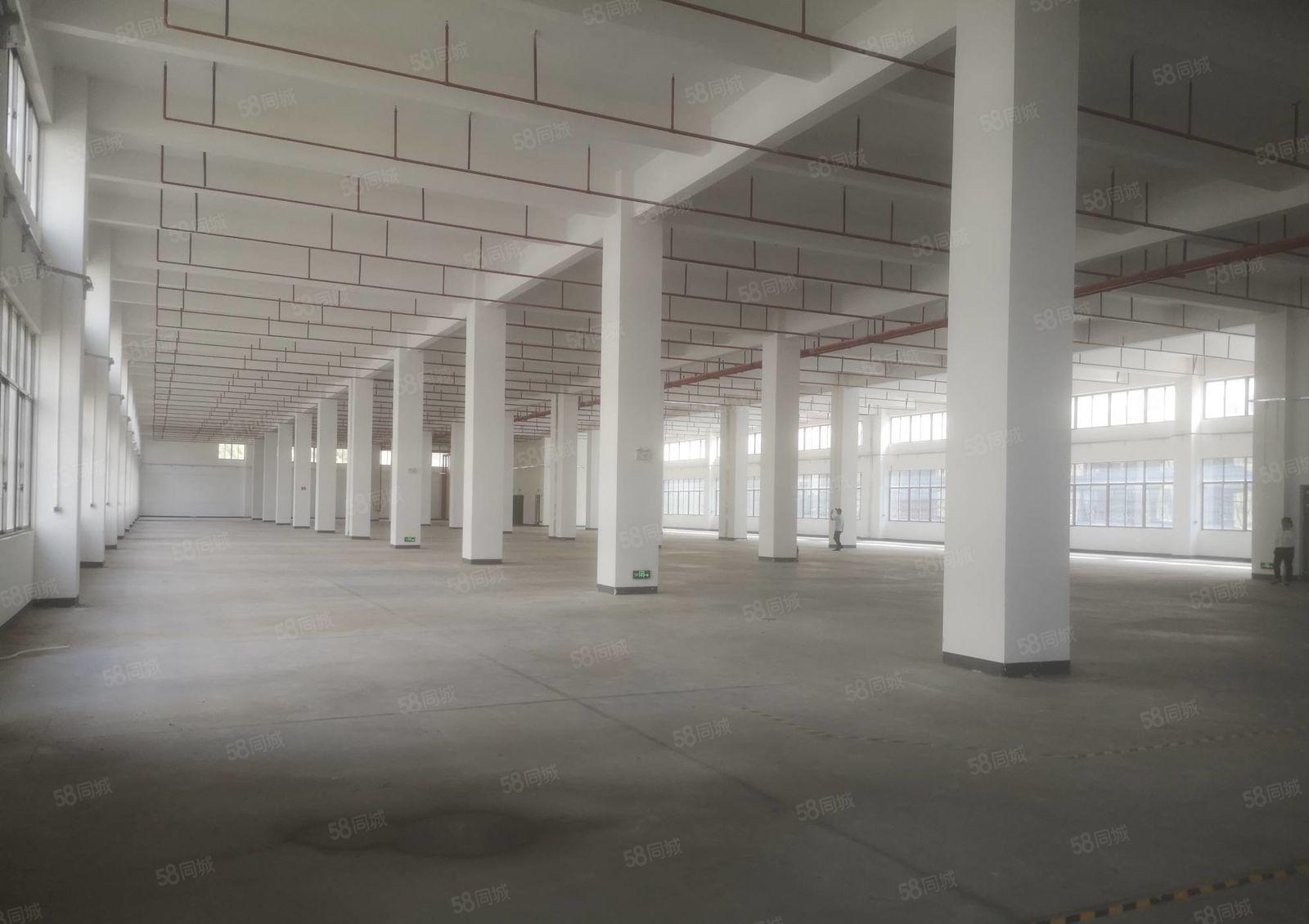 镇隆万里工业区 全新红本20000平标准厂房出租 大小可分租