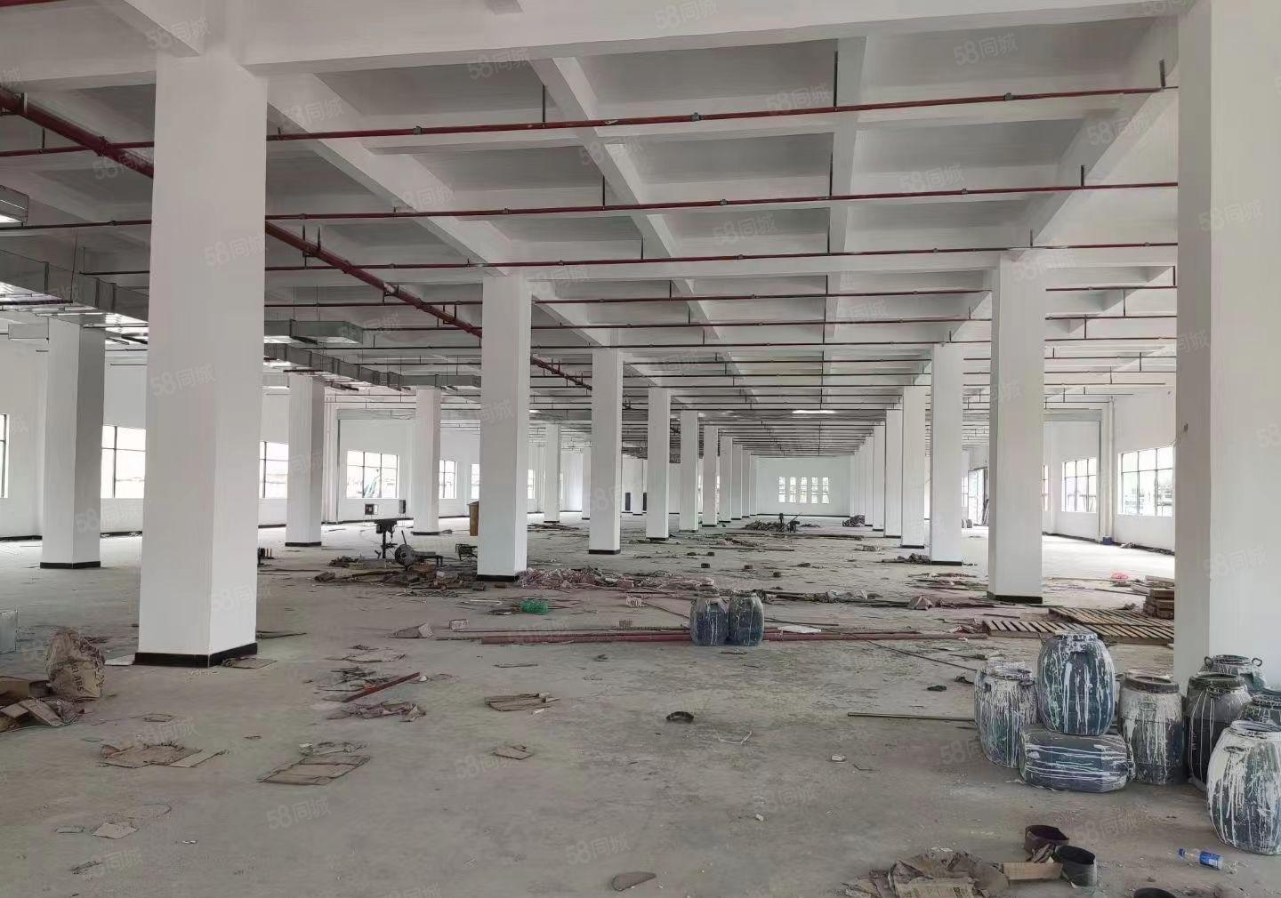 惠阳沙田17000平米原房东独院厂房低价招租