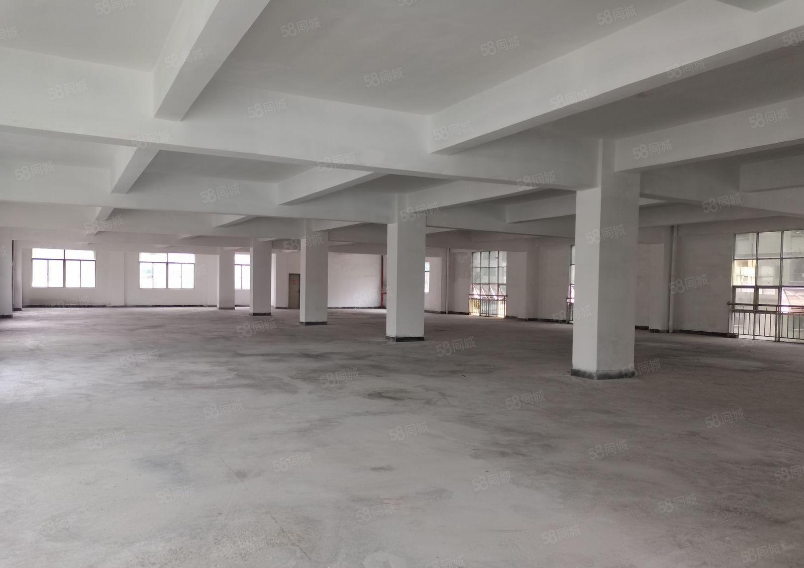 镇隆主干道边原房东独院厂房4000平方出租