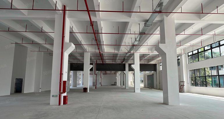 新出！镇隆4000平厂房仓库出租1楼8米带牛角可分1000平