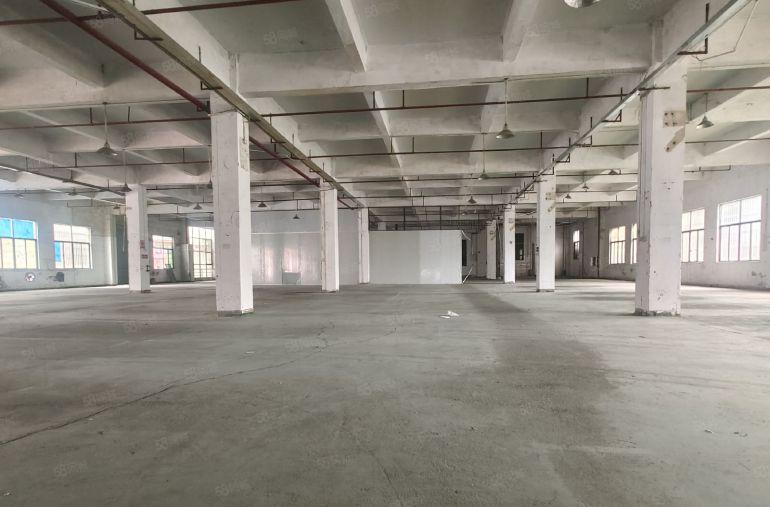 福  新圩约场18000平标准多层厂房出租，独门独院配套齐全