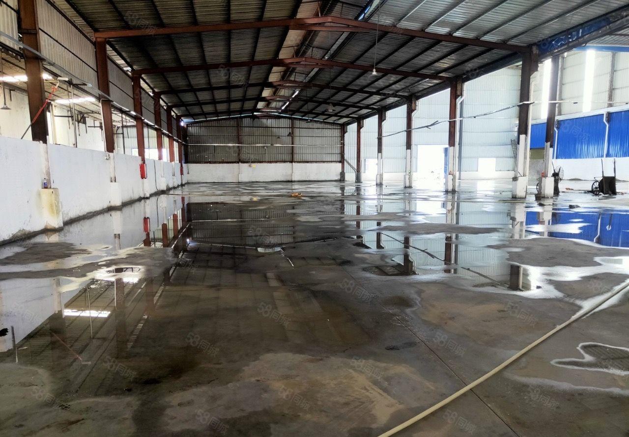 新圩长布钢构厂房面积3000平实际面积出租