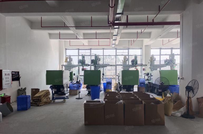 惠州淡水红本厂房仓库带装修低价出租700平起分租价格便宜