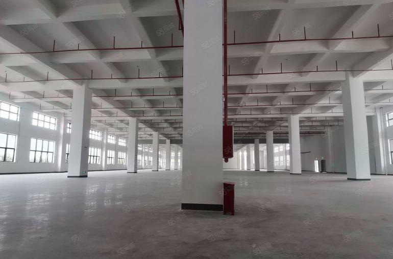 8元！三和经济开发区厂房仓库出租500起分水电齐全包隔墙