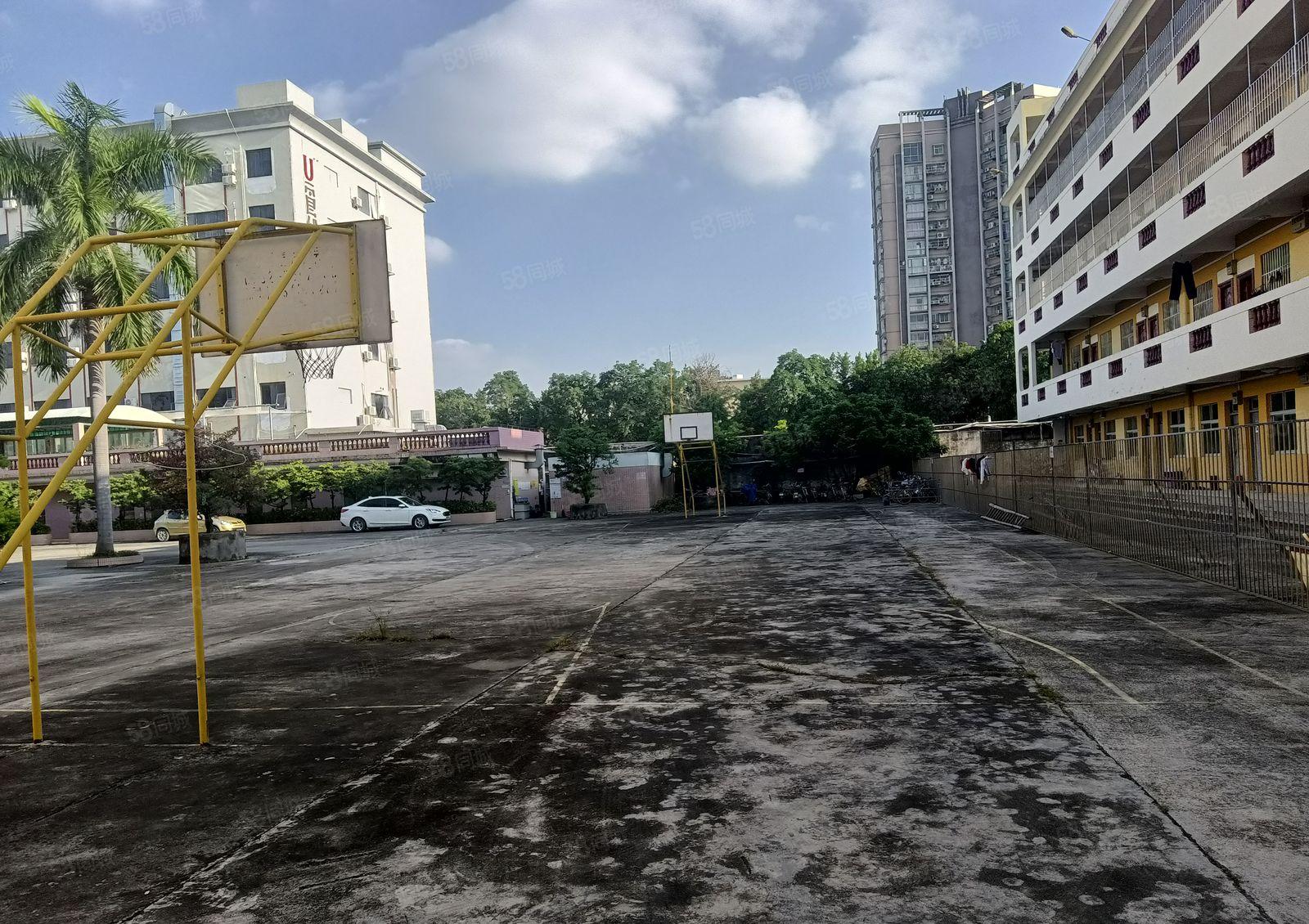 厂房出租惠阳秋长800平钢构厂房，高7米，园区空地超大