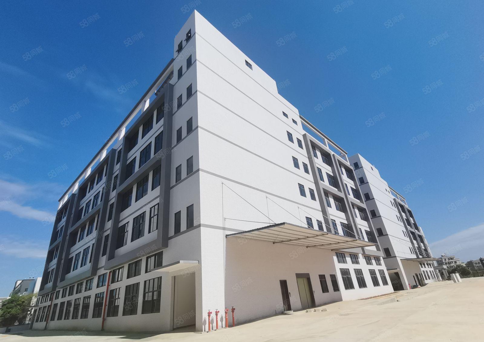 零公摊原房东全新红本厂房，独立办公楼，宿舍楼，空地面积1万平