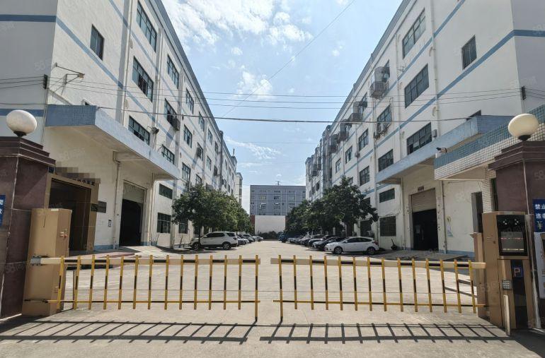 惠州市秋长镇红本标准一楼1100平方带装修带现成行车形象好