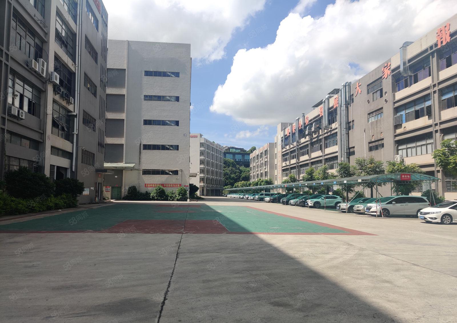 惠州镇隆近陈江原房东独院厂房仓库1300平方带办公室装修3吨