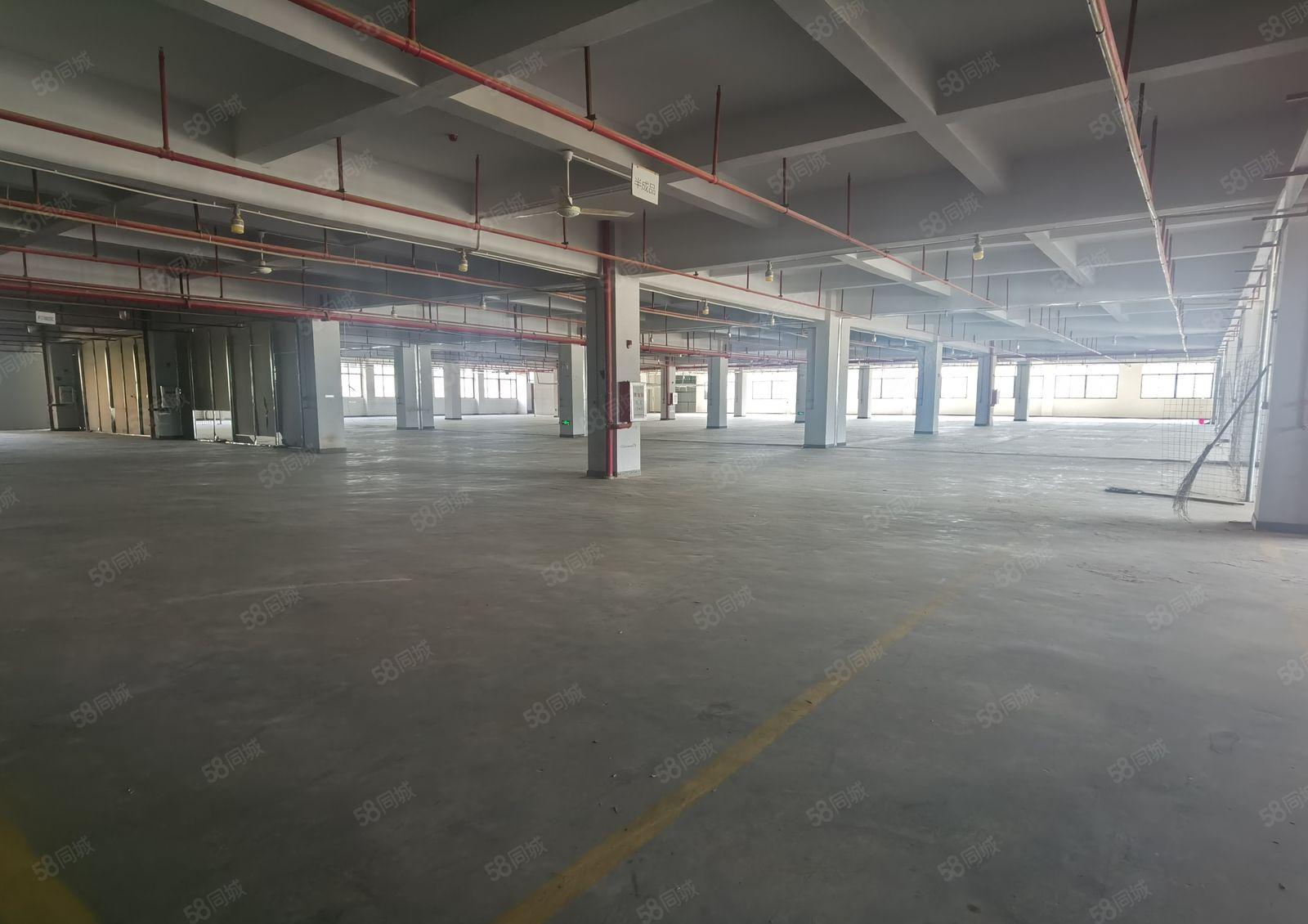 惠阳淡水高速边2万工业园钢构标准厂房招租！500平方起租