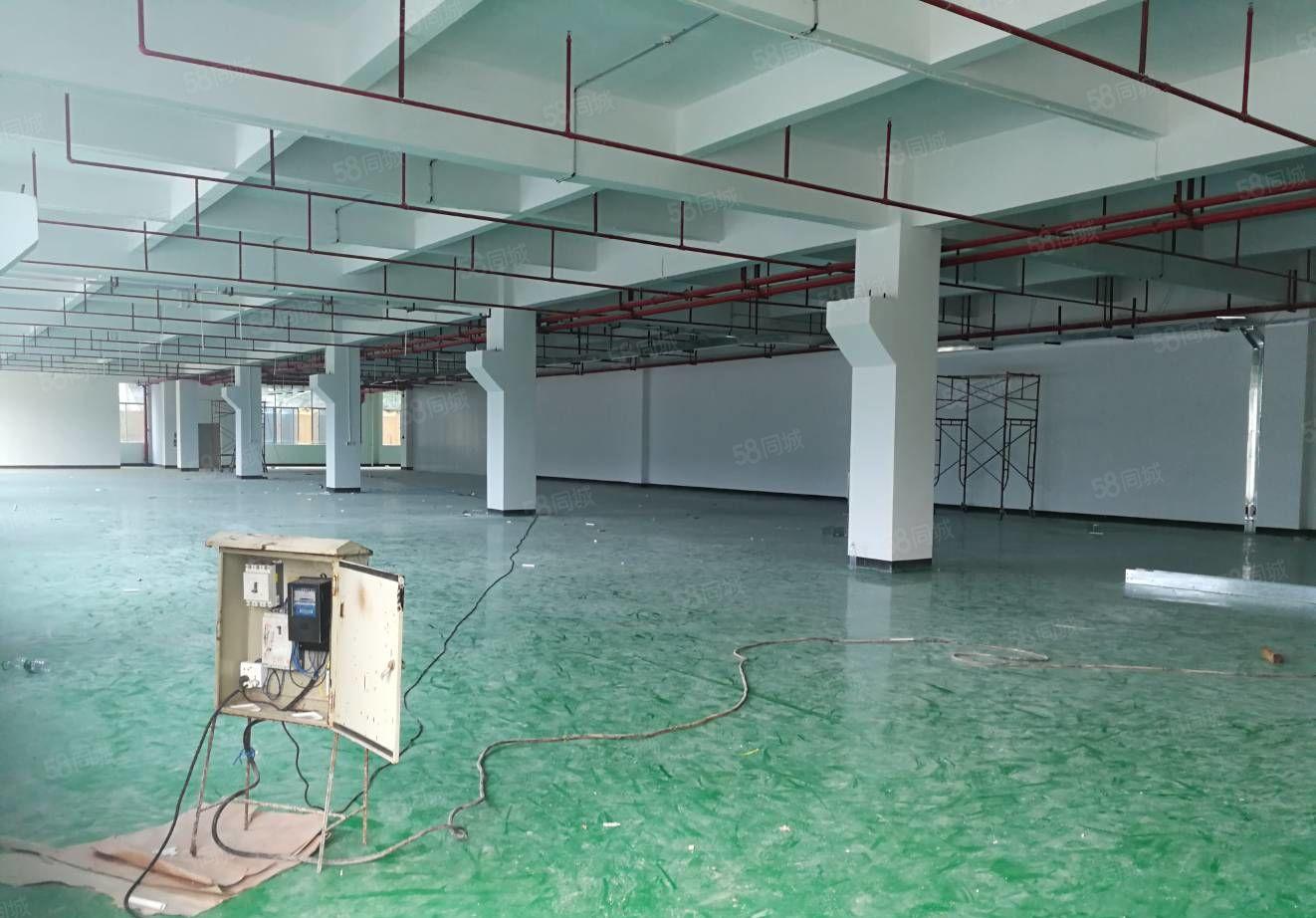 惠阳区沙田高速出口独院标准厂房10000平米出租