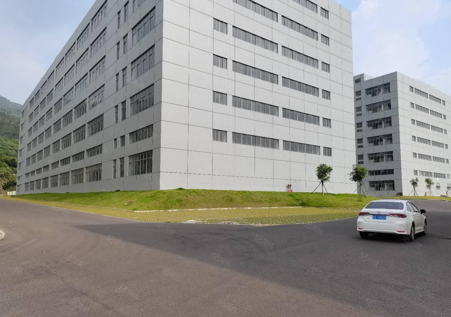 500平起租，惠阳新圩5万平工业区厂房仓库独院出租带消防喷淋