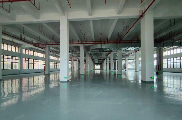 镇隆全新红本厂房仓库出租，可做独院，园区配套齐全，可分租。