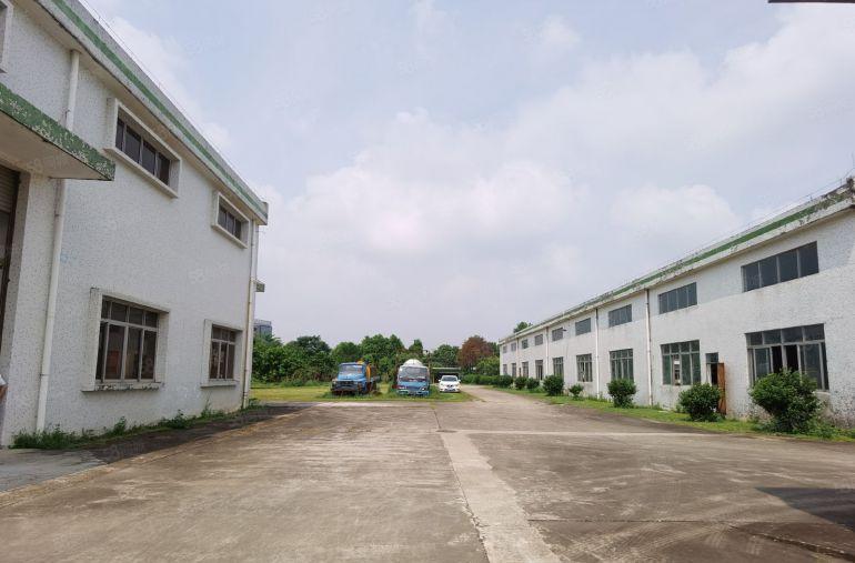 2000平米一栋起租  惠阳新圩钢构厂房3万平米长220米