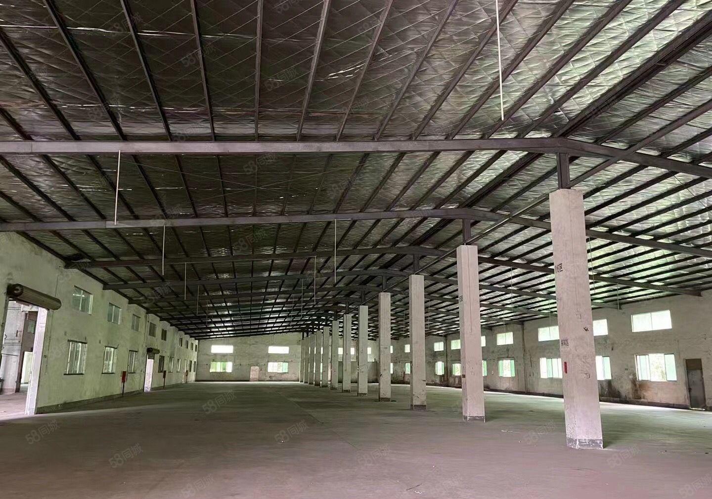 镇隆背靠山独院钢构厂房证件齐全行业不限