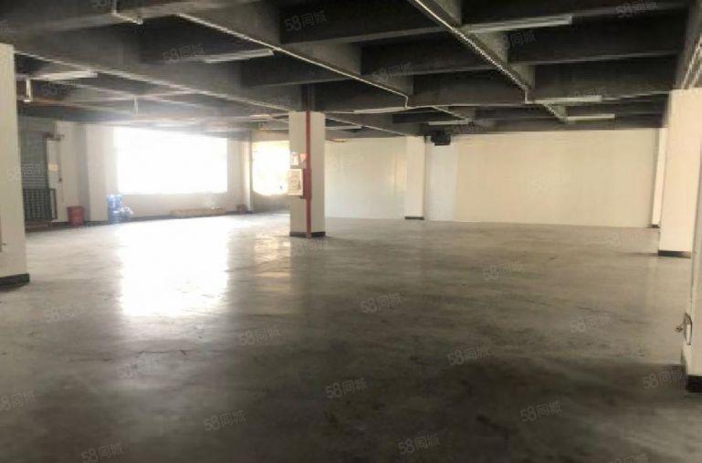 （出租）惠阳秋长新塘新出10元精装修厂房出租850平