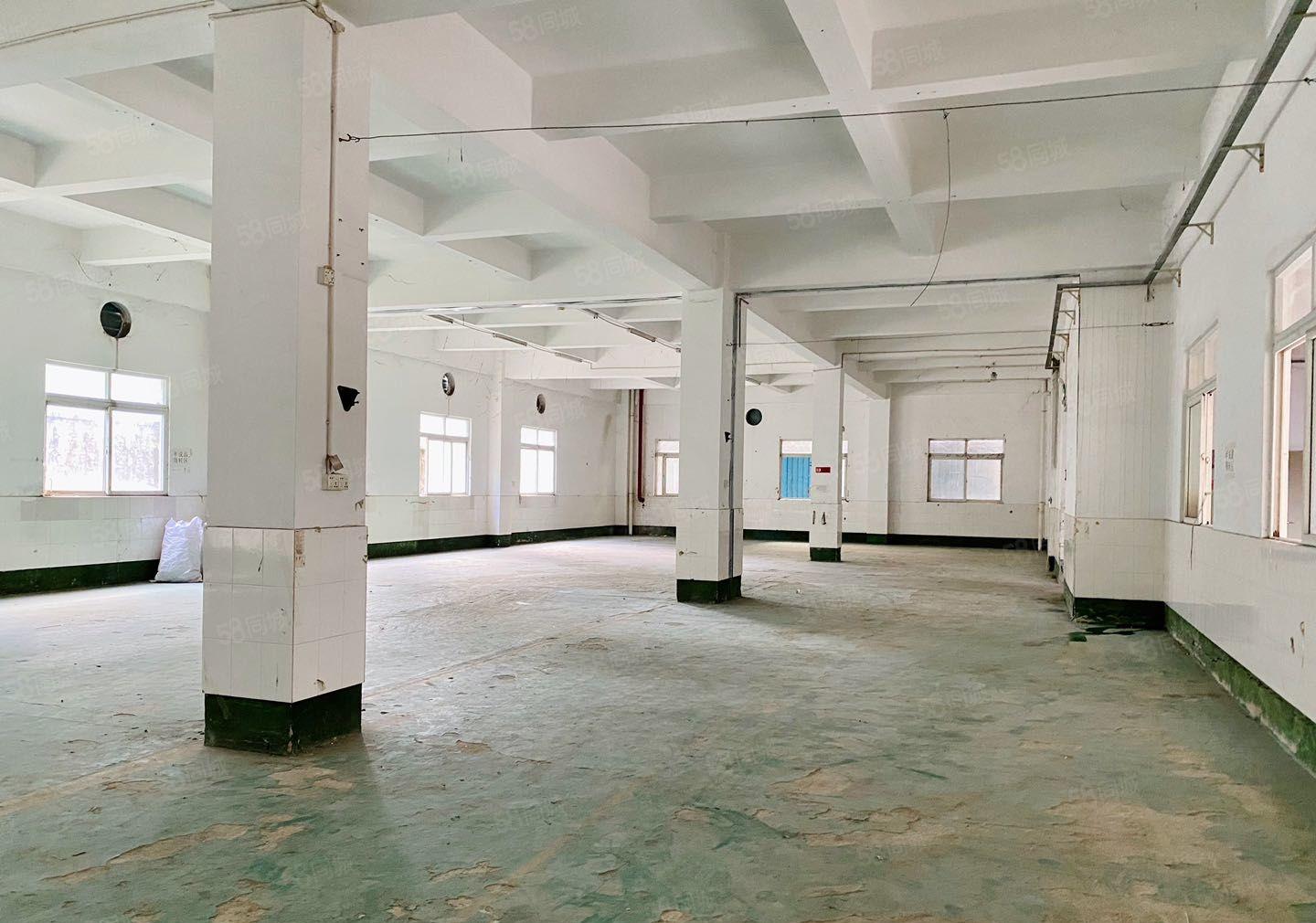 惠阳区镇隆镇繁华地带园区厂房低价出租2006000平可分租