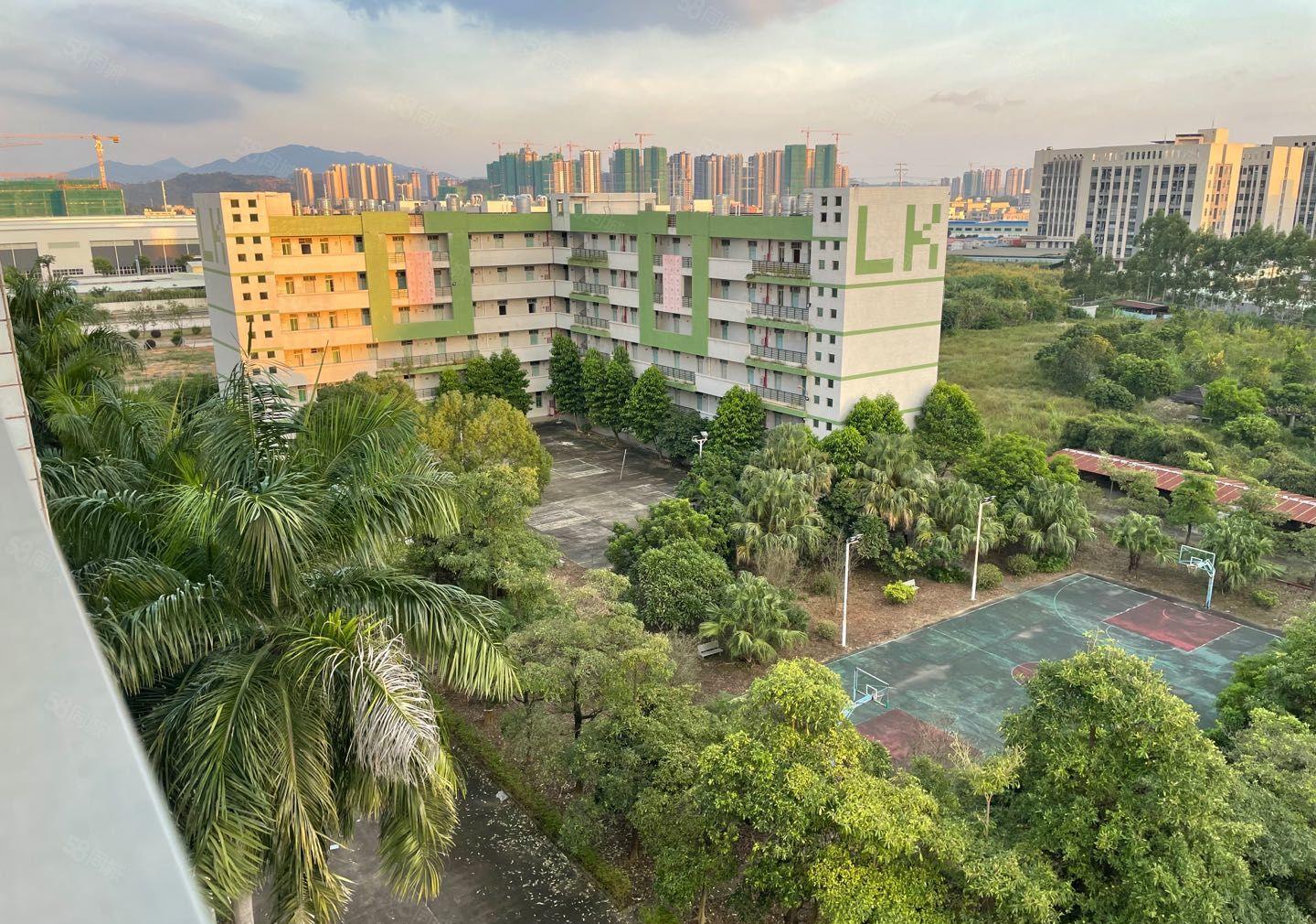 惠阳秋长茶园新出标准独院27000平红本厂房500平起分