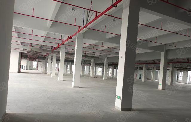 惠阳秋长镇原房东标准一楼2300方出租 大小可分