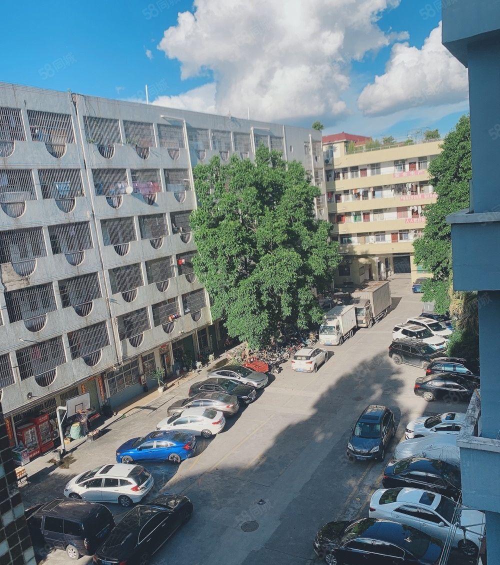 惠阳新圩原房东标准仓库厂房出租1000平高6米200起租可分