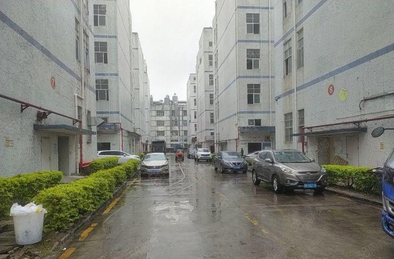 惠州惠阳秋长白石1000平楼上精装修厂房低价出租园区形象好