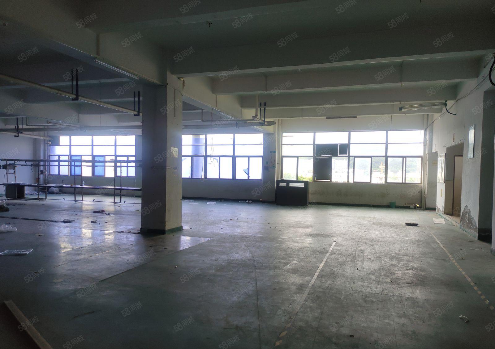 9元低价起镇隆450平方起租6000厂房出租空地大可办环评