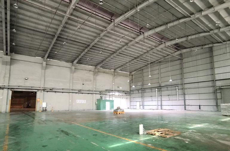 滴水11米单一层厂房32000平方，可分租