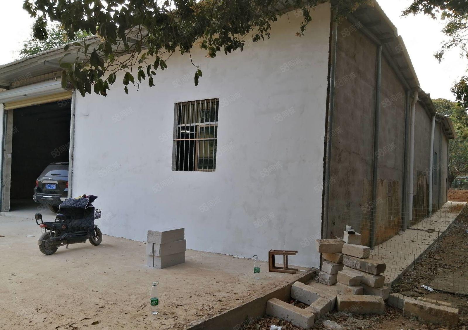 惠阳秋长新出单一层500平钢构