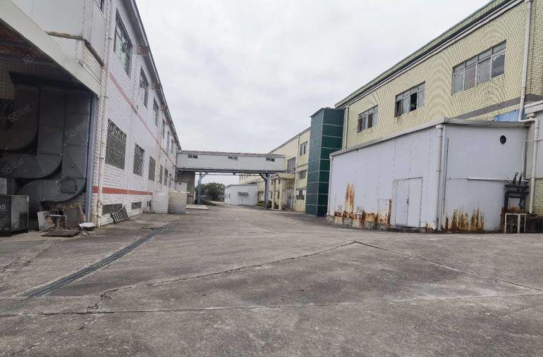 原房东独门独院实用面积13000平方出租