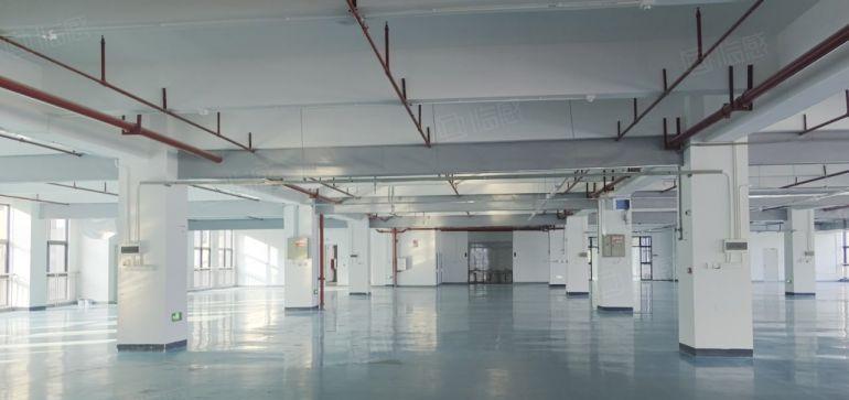 镇隆2800平地坪漆厂房招租200平起分租5吨货梯红本原房东