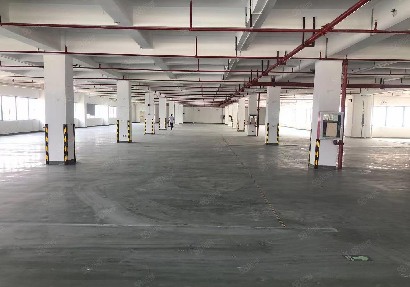 惠阳秋长新塘华叶家博园附近大货梯有卸货平台带装修家私厂出租