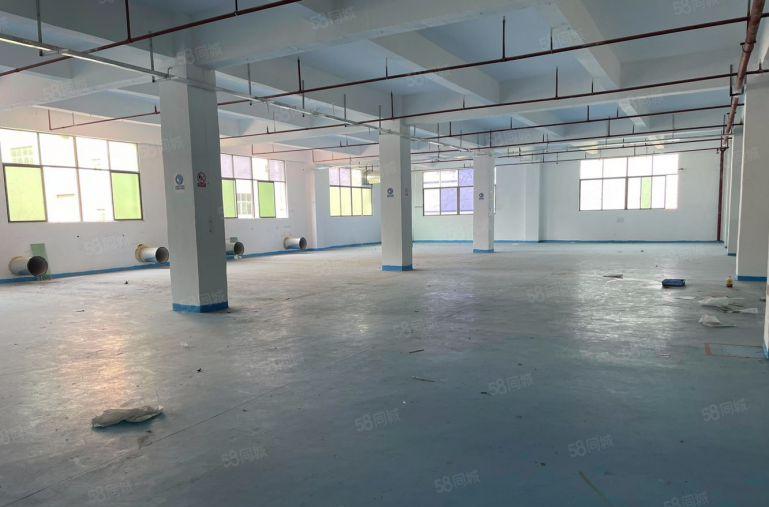 秋长沙田原房东独门独院5000平厂房低价出租带现成装修