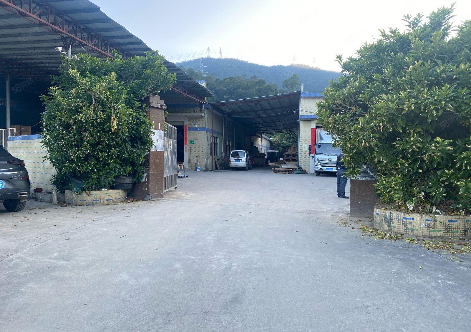 惠州市镇隆镇原房东独门独院单一层厂房3750平米出租