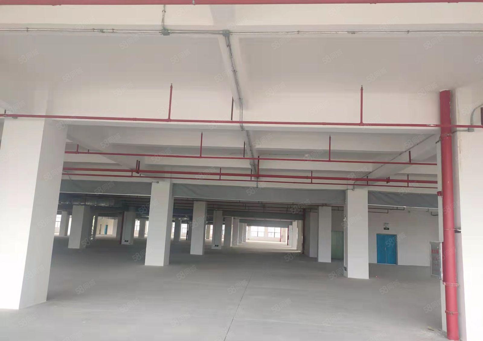 惠阳三和平潭附近厂房国道边红本标准厂房出租