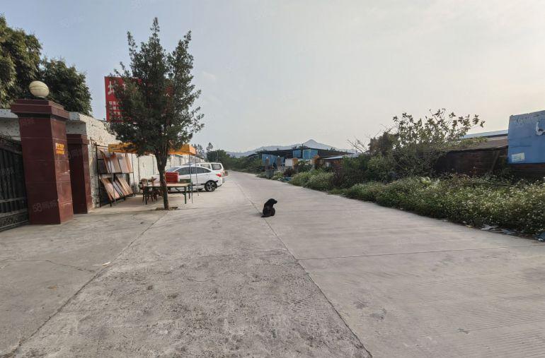 惠州市惠阳区淡水原房东独栋钢构厂房1300平方空地大形象好