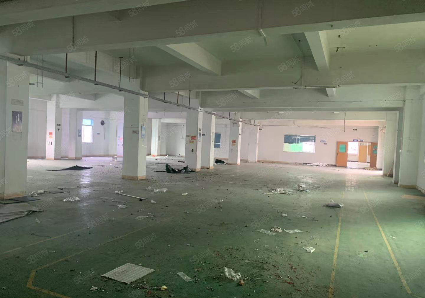 现成装修地坪漆厂房出租