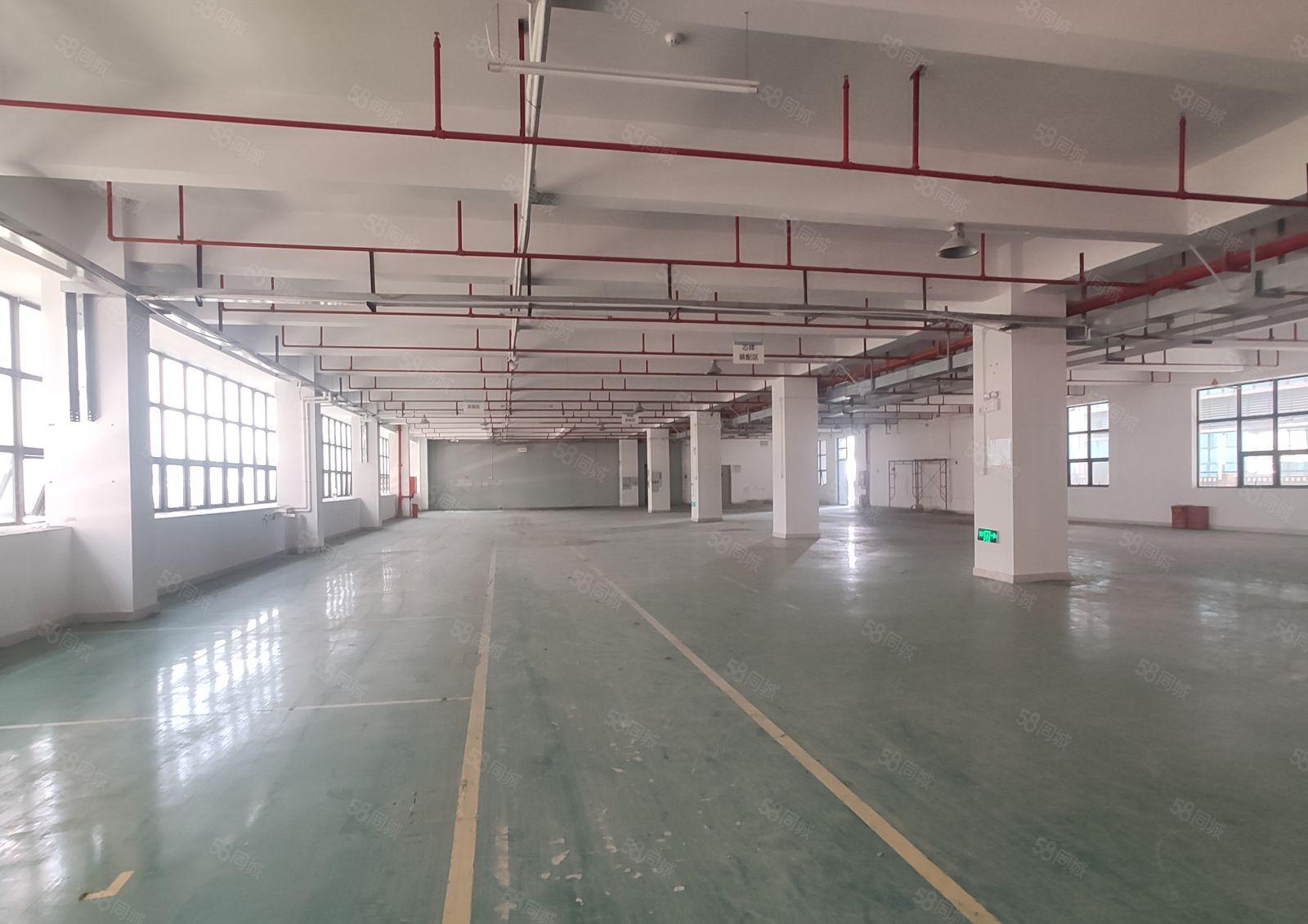 10元起惠阳沙田原房东红本5000平一楼厂房仓库出租可小污染