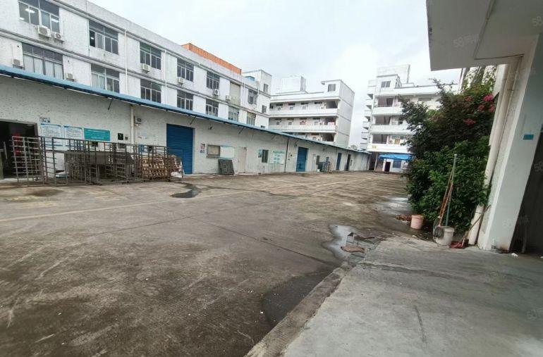 惠阳新圩独门独院5000平仓库厂房出租一楼高6米200平起租