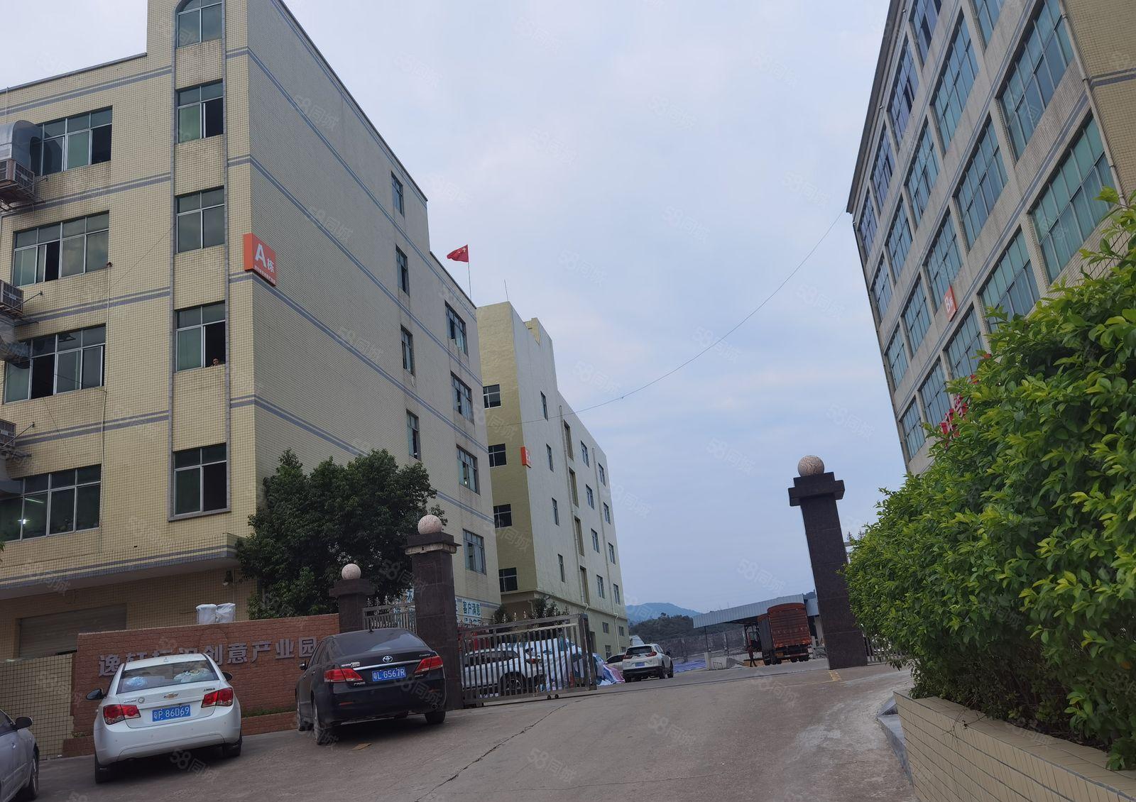 惠州惠阳新圩镇东风原房东独门独院标准厂房隆重招租