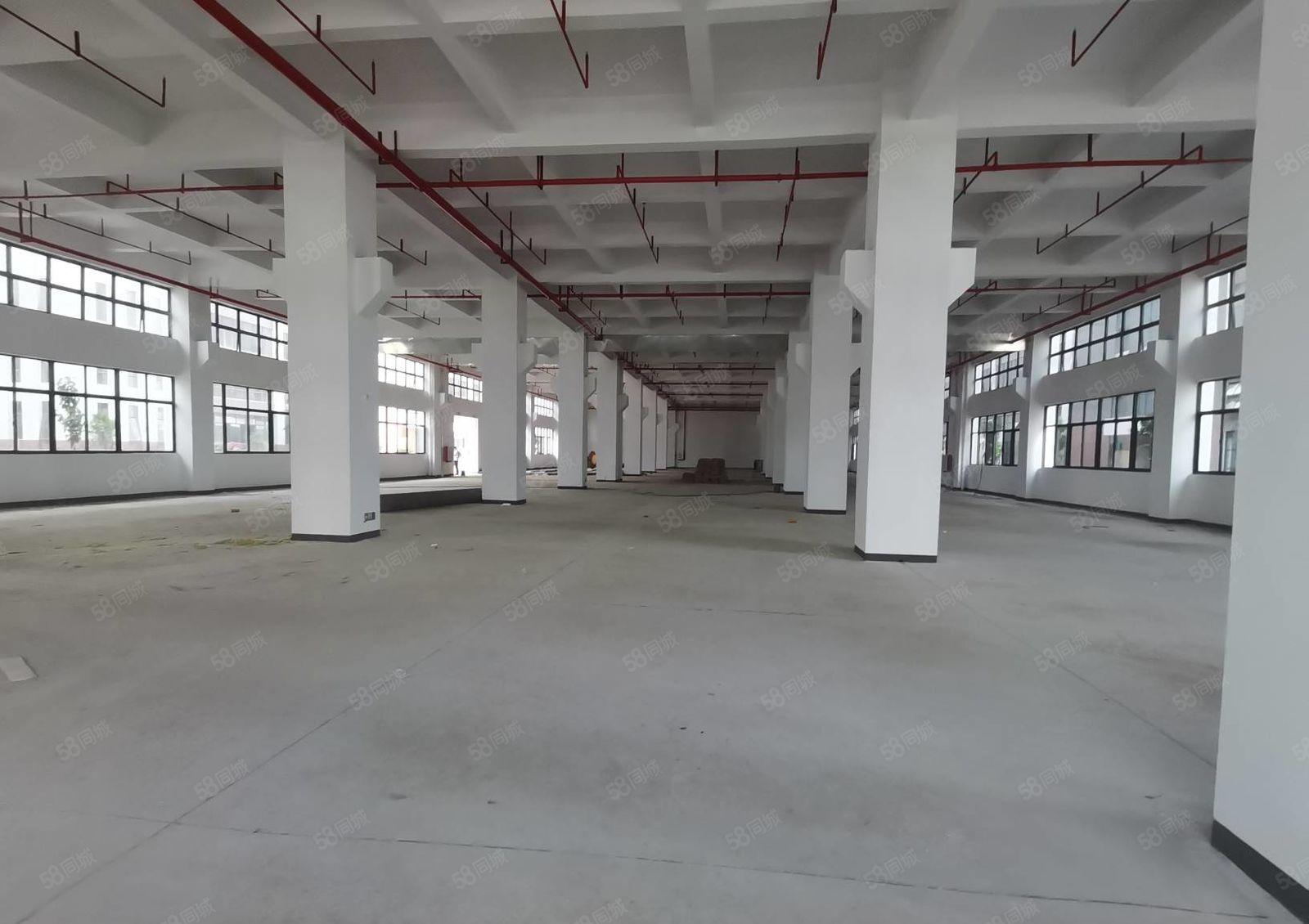 惠阳镇隆甘彼原房东工业园3万平厂房出租300平起分租一楼7米