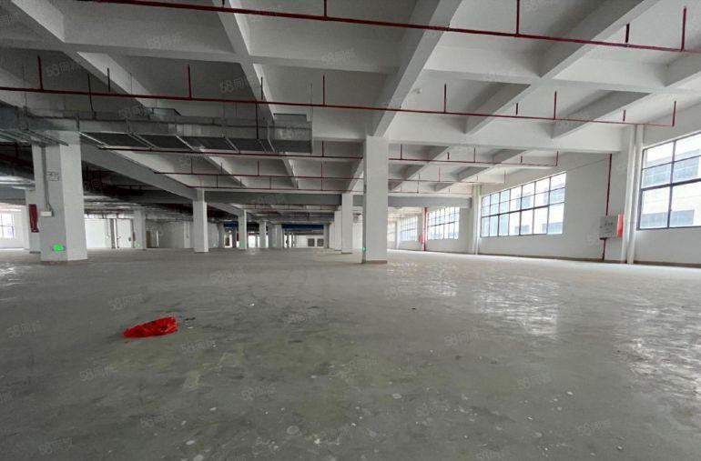 惠阳10元特价厂房出租，免租其四个月，不限行业  房东直租