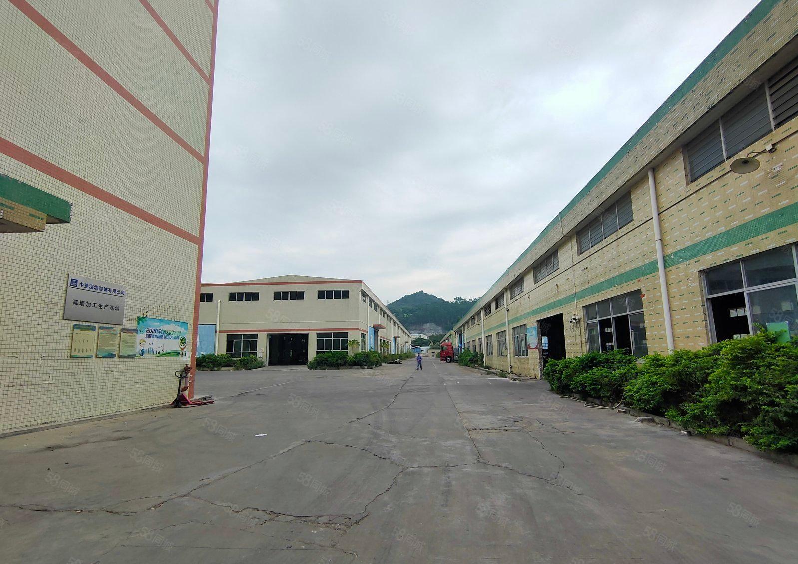 镇隆单一层钢结构9米高红本厂房12000平米出租（可分租）