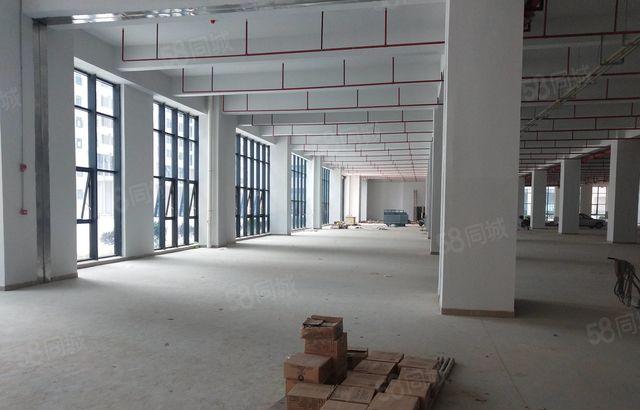 350起分）大亚湾西区比亚迪附近全新低价红本标准厂房证件齐全