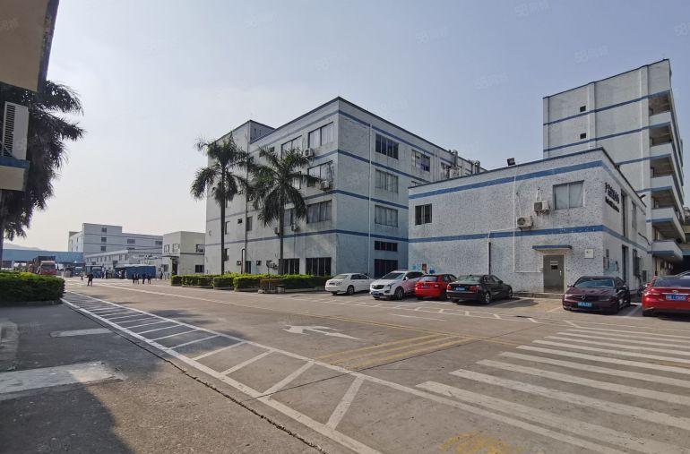 惠阳新圩8元红本厂房精装修办公室地坪漆原房东出租可分租可环评